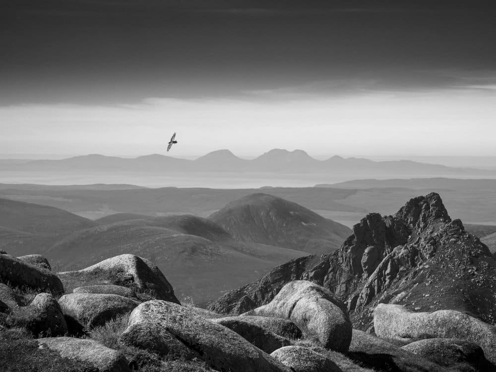 Победитель в категории «Черное и белое»: «Ворон над Арраном», остров Арран, Шотландия / © Robin Dodd