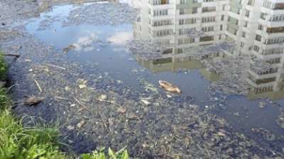 В Санкт-Петербурге возбуждено уголовное дело по факту загрязнения реки Новая