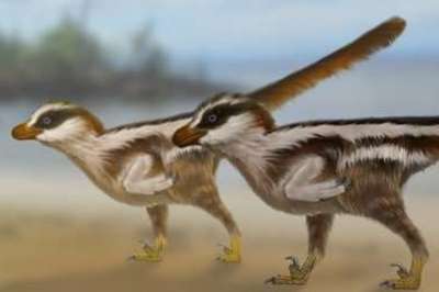 Динозавры были крошечными - размером с воробья. Иллюстрация University of Queensland