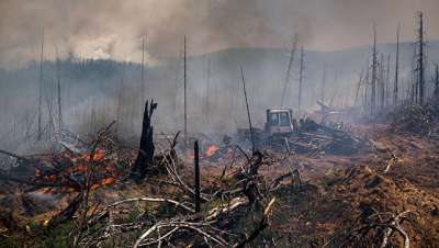 Последствия лесного пожара. Архивное фото РИА Новости / Валерий Мельников