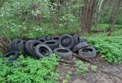 В лесу встречаются «организованные» незаконные свалки автопокрышек.