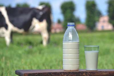 Насыщенные жирные кислоты в молоке отличаются от насыщенных жирных кислот в мясе. Фото: gosphotodesign / Depositphotos