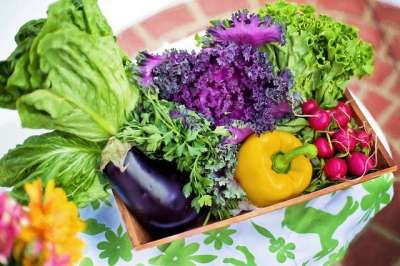 Вместе с импортными овощами и фруктами россияне употребляют химикаты, действие которых пагубно сказываются на здоровье.