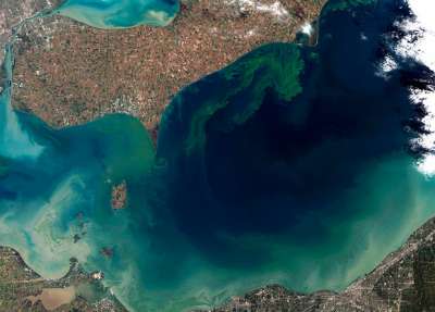 Цветение цианобактерий на озере Эри, США. NASA Earth Observator