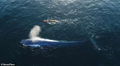 Рядом с китом было несложно представить, как велик океан.
