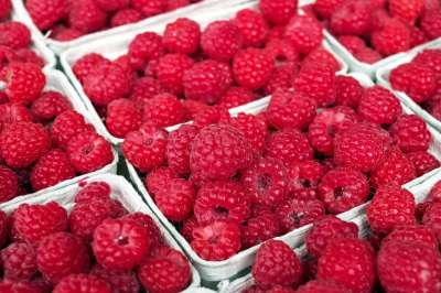 Правительство РФ снизит НДС до 10% на плодово-ягодную продукцию. Фото: Татьяна Тимирханова/ТАСС