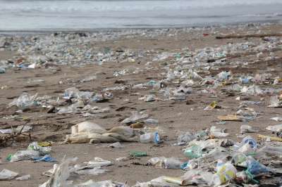 Пластиковые вилки, ножи и ложки входят в число наиболее вредных видов морского мусора для морских животных