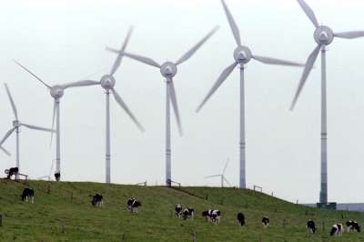 Некоторые эксперты склоняются к тому, что &quot;ветряки&quot; не так уж безобидны для экологии. Фото: Reuters