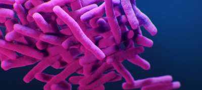 Вот как выглядит бактерия туберкулеза, которая уже выработала устойчивость к лекарствам. В ООН прзывают ускорить работу над новыми препаратами, способными справляться с опасными инфекциями. Фото Центра по контролю над заболеваниями (США)/Дж.Арчер