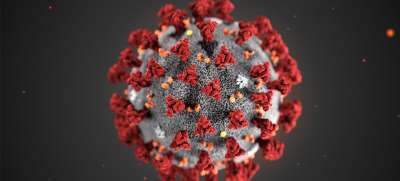 Цифровое изображение коронавируса. Фото Центра контроля и профилактики заболеваний. 
