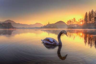 Озеро Блед, Словения. Фото: Эдуард Гордеев