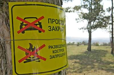В Крыму на три недели запретили посещение лесов