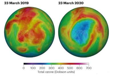 Сравнение содержания озона (в единицах Добсона) в марте 2019 и в марте 2020.  Иллюстрация: NASA Ozone Watch
