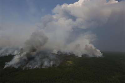 Информация о лесных пожарах в Российской Федерации за прошедшие сутки