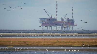 Эколог назвал главные правила борьбы с нефтяными разливами