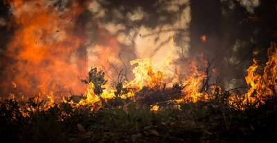 Рослесхоз: лесные пожары смещаются на север Якутии из-за изменения климата