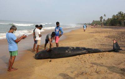 Троих из них спасти не удалось. Фото EPA-EFE/Chamila Karunarathne