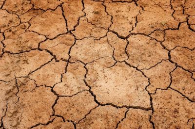 За последнее столетие Индия испытала 23 засухи.