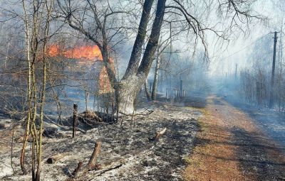 Лесные пожары в зоне Чернобыльской АЭС, 9 апреля 2020 года. Архивное фото: Петр Сивков/ТАСС