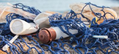 Вот такой улов. От пластиковых отходов страдают более 600 видов морских обитателей. Фото: Unsplash/ A.Компаньон