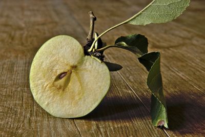 Точное количество целиком съеденных яблок, способных нанести вред здоровью, не подсчитано, однако забывать о том, что в их косточках содержится яд, не следует.