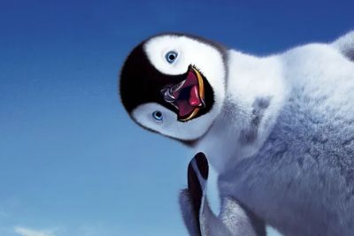 Южное полушарие — исключительная среда обитания всех 17 видов семейства пингвиновых.