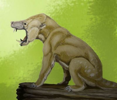 Реконструкция внешнего облика вымершего зверя из род Arctocyon — он жил в палеоцене, когда млекопитающие могли позволить себе мозг поменьше. Иллюстрация Дмитрия Богданова / Wikipedia.