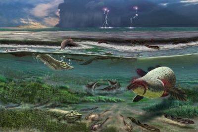 Так могли выглядеть обитатели древних морей, останки которых палеонтологи находят в Коми. Иллюстрация: Павла Безносова.