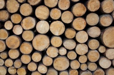 На долю России приходится пятая часть мировых запасов древесины.