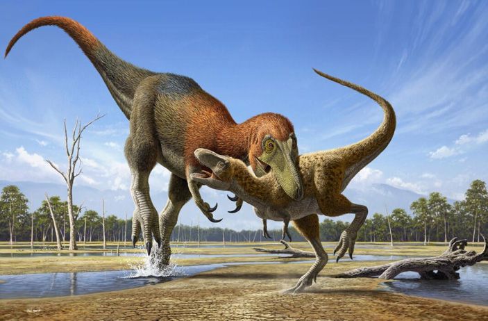 Долгое время палеонтологи не могли определиться с видовым статусом нанотираннуса. Рисунок © Raul Martin с сайта sci.news
