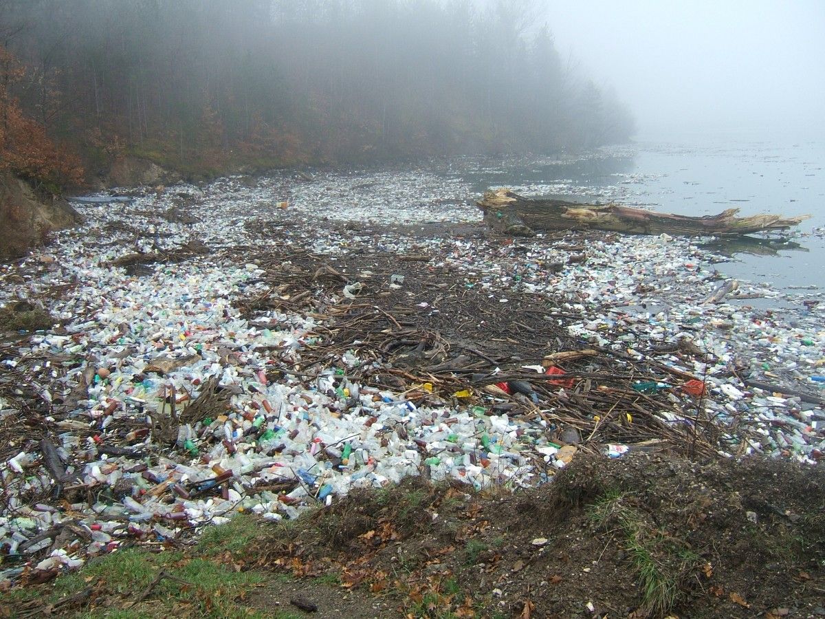 Загрязнение пластиковыми отходами.
