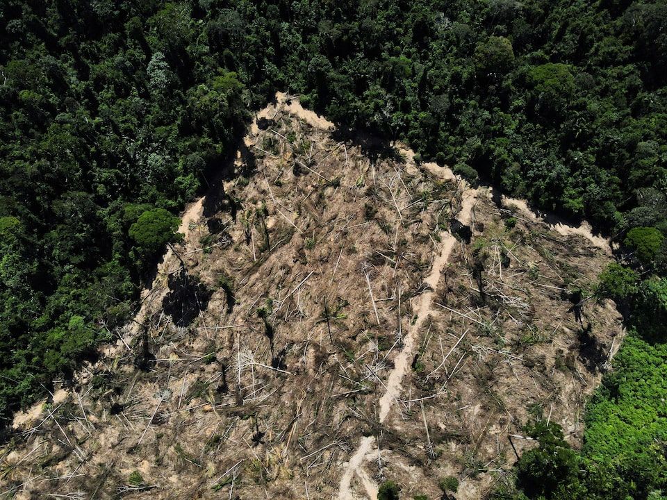 Вид на вырубленную территорию посреди леса Амазонки, 14 июля 2021 года. Фото: REUTERS/Bruno Kelly/ File Photo Purchase License Rights Rights.
