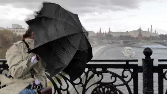 Шквалистый ветер и ливень в Москве. Архивное фото РИА Новости / Сергей Пятаков