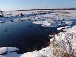 Экологическая вахта Сахалина обнаружила разлив нефти. Фото с сайта http://www.rosnadzor.ru