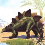 Cтегозавр (Stegosaurus). Иллюстрация с сайта animals.timduru.org