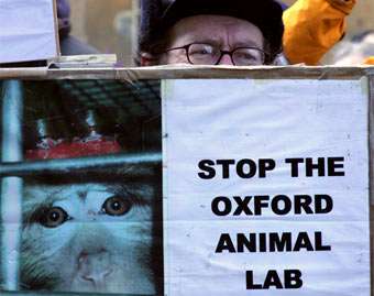 Участник митинга против лабораторных экспериментов над животными. kierenmccarthy.co.uk