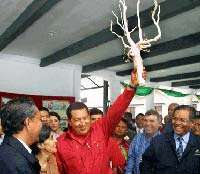 Во время визита в Малазию в 2006 году президенту Венесуэлы Уго Чавесу подарили корни тростника Али