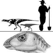 Реконструкция норного динозавра. Поменьше - детёныш (иллюстрации Lee Hall/MSU).
