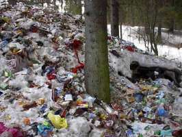 \"Строительный мусор\". Фото с сайта karelia.ru