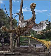 Благодаря длинным мощным лапам Gigantoraptor был способен быстро бегать