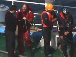 Японские китобои отпустили двоих защитников китов. Фото с сайта The Sydney Morning Herald (www.smh.com.au)