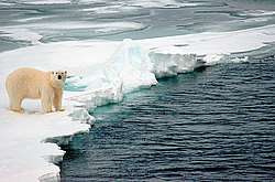 Арктика: останется ли такой белой? Фото: Ярослав Никитин.
