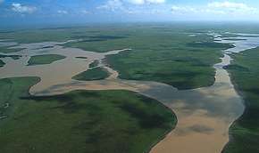 Леса Амазонки под угрозой исчезновения. Фото: MIGnews.com
