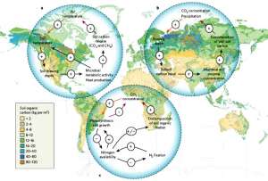 На фоне карты, показывающей для всех континентов богатство почвы органическим веществом приведены схемы трех групп взаимосвязанных процессов, приводящих к усилению выделения в атмосферу парниковых газов. Фото: Элементы 