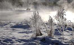 В Таджикистане из-за сильных морозов сложилась критическая ситуация. Фото: РИА Новости