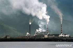 Байкальский ЦБК – единственное предприятие сбрасывающее ядовитые стоки непосредственно в Байкал. Фото: Greenpeace