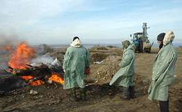 Эксперты ЕС вновь изучат последствия утечки нефти в Керченском проливе. Фото: РИА Новости
