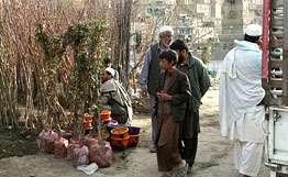 Кабульский рынок по продаже саженцев. Фото: РИА Новости