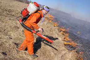 Добровольные пожарные за работой. Фото: Greenpeace России