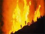 За сутки на Южном Урале произошло еще 68 лесных пожаров. Фото: РИА &quot;Новый Регион&quot;